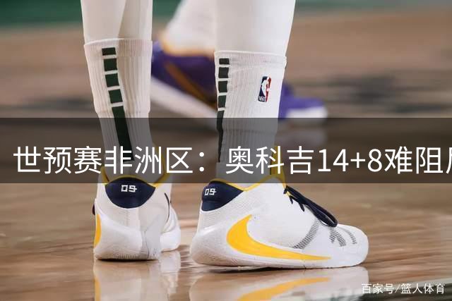 世预赛非洲区：奥科吉14+8难阻尼日利亚惜败